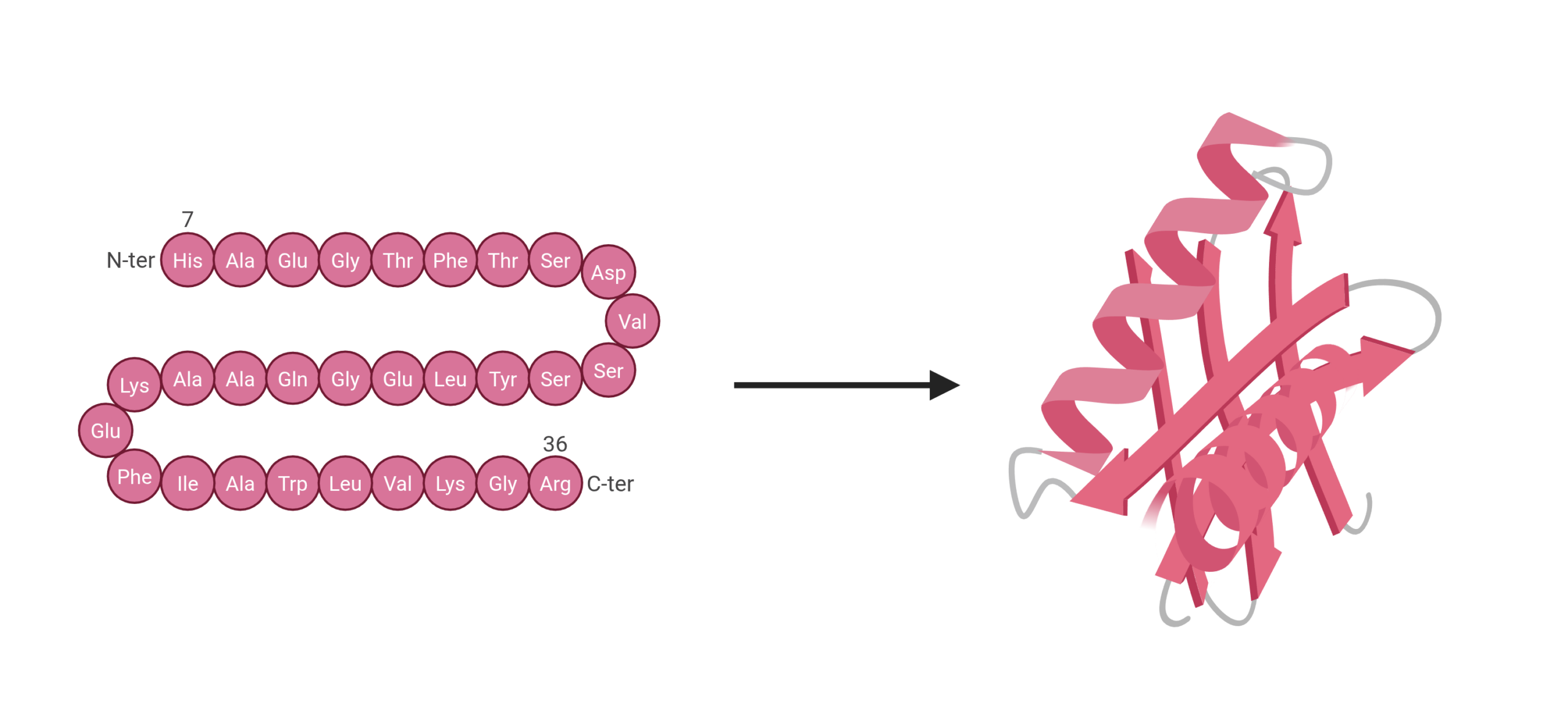 Homology modeling / structure generation