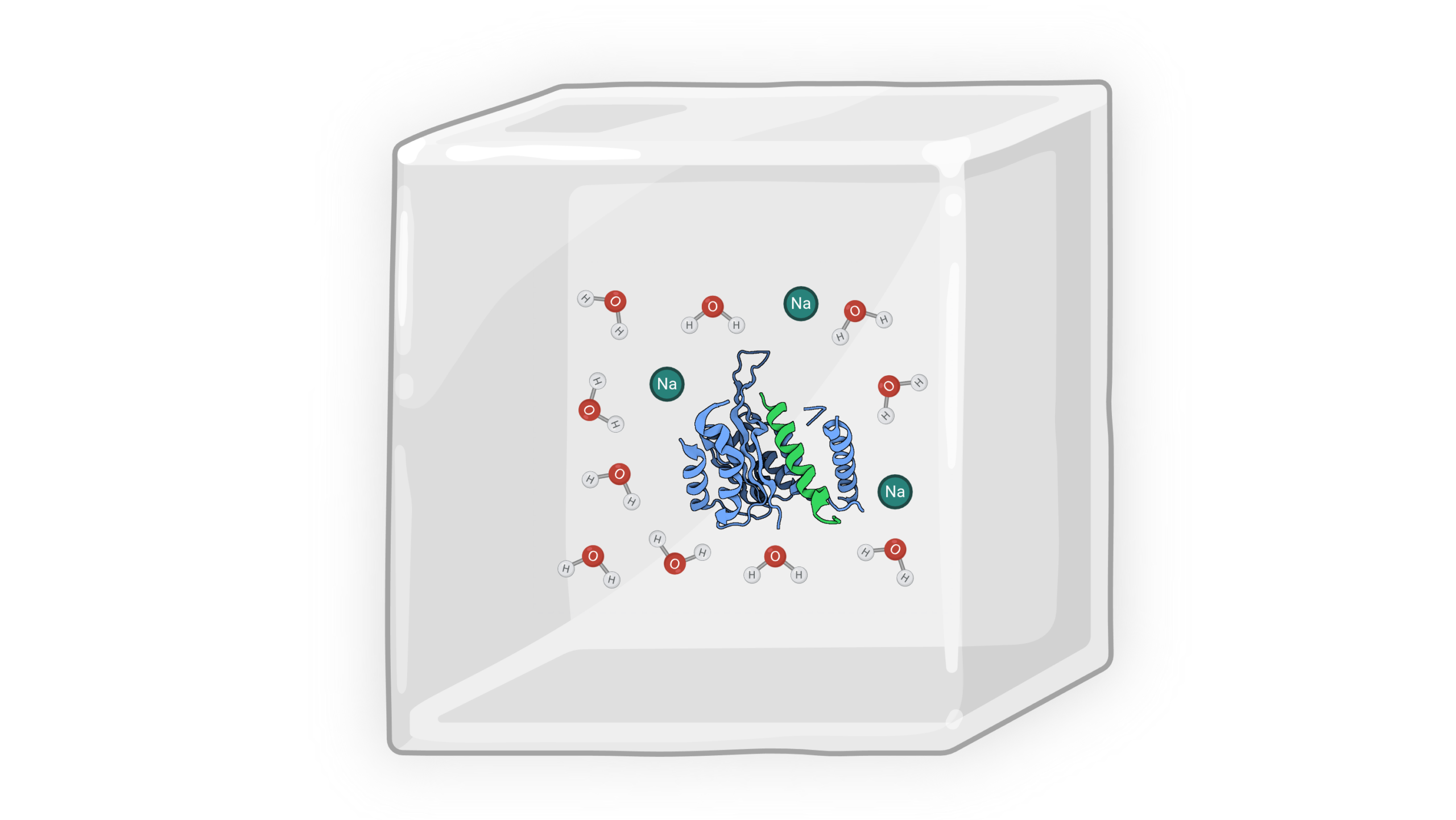 Molecular dynamics simulations