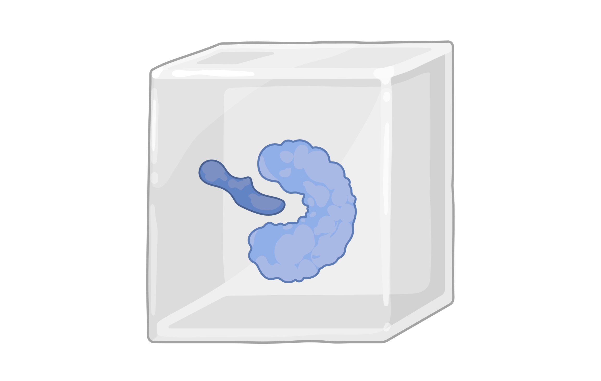 Molecular docking