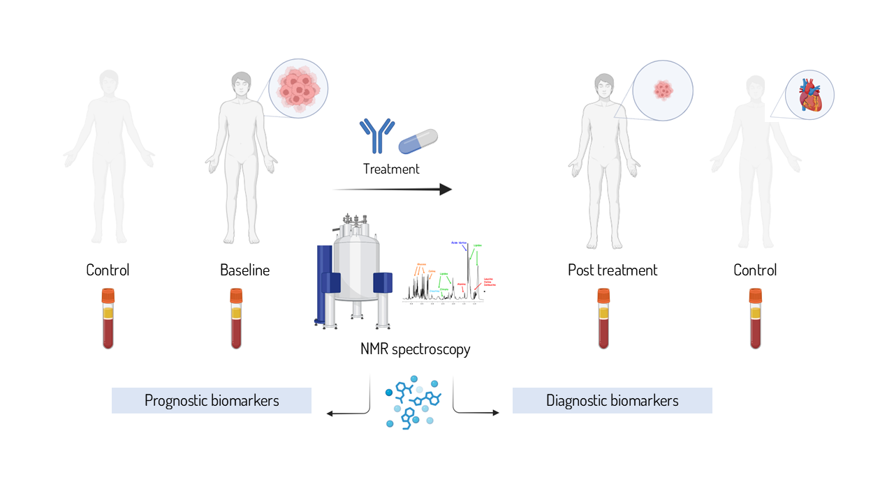 BioCardioMetab Project