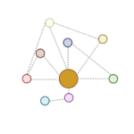 Functional / PPI network construction