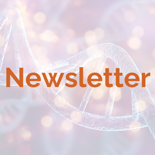 Newsletter web